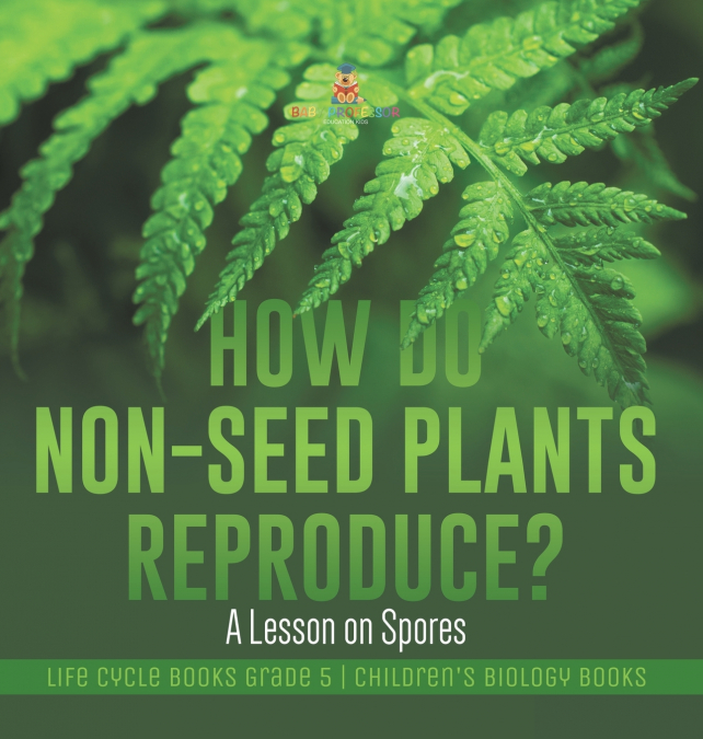 How Do Non-Seed Plants Reproduce? A Lesson on Spores | Life Cycle Books Grade 5 | Children’s Biology Books