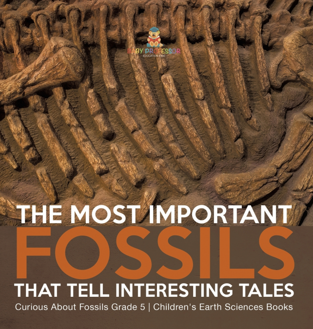 The Most Important Fossils That Tell Interesting Tales | Curious About Fossils Grade 5 | Children’s Earth Sciences Books