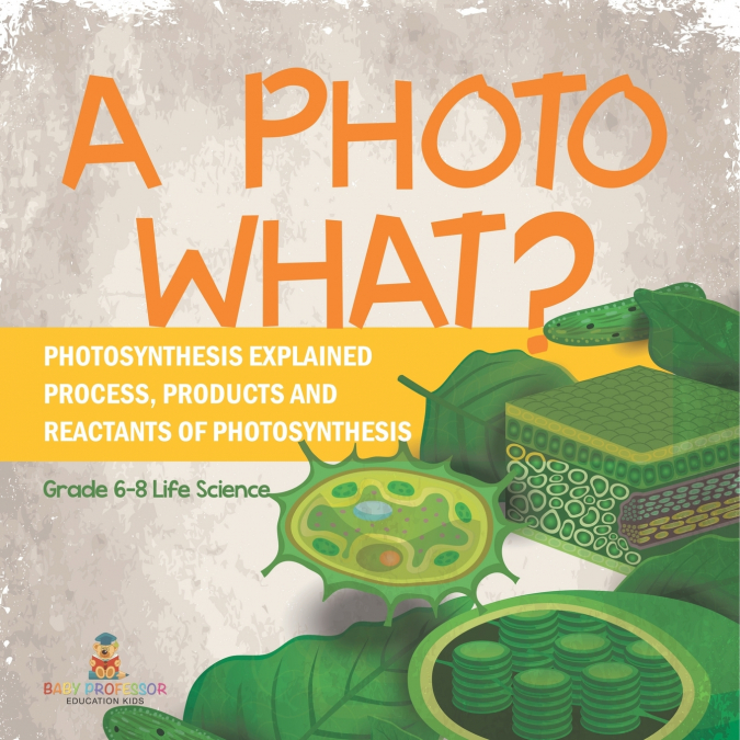 A Photo What? Photosynthesis Explained | Process, Products and Reactants of Photosynthesis | Grade 6-8 Life Science
