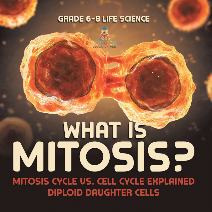 What is Mitosis? Mitosis Cycle vs. Cell Cycle Explained | Diploid Daughter Cells | Grade 6-8 Life Science