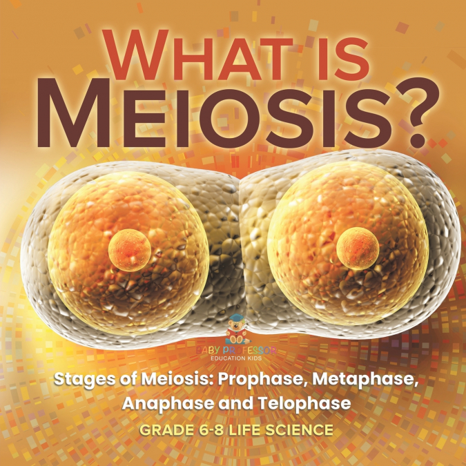 What is Meiosis? Stages of Meiosis, Prophase, Metaphase, Anaphase and Telophase | Grade 6-8 Life Science
