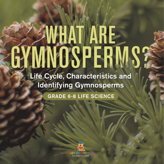 What are Gymnosperms? Life Cycle, Characteristics and Identifying Gymnosperms | Grade 6-8 Life Science