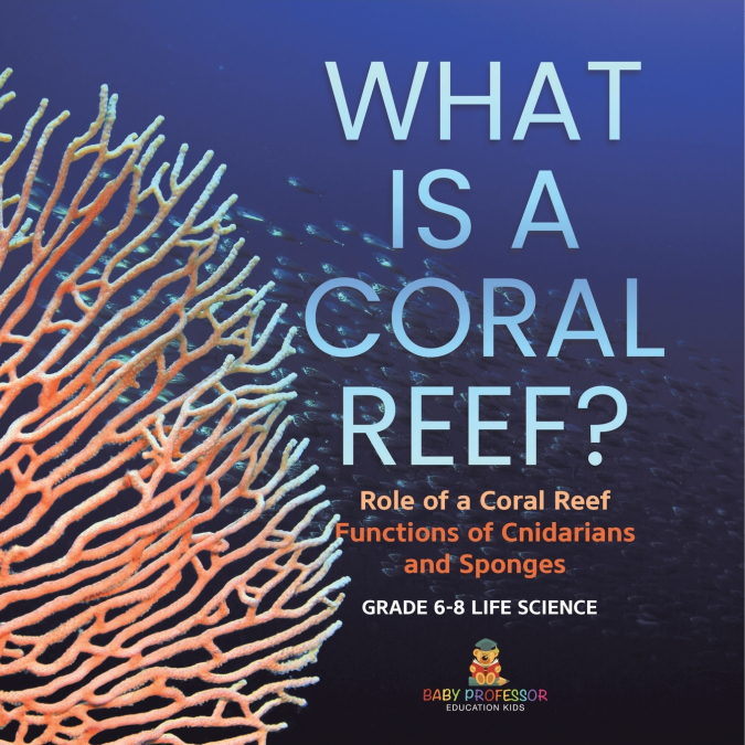 What is a Coral Reef? Role of a Coral Reef | Functions of Cnidarians and Sponges | Grade 6-8 Life Science