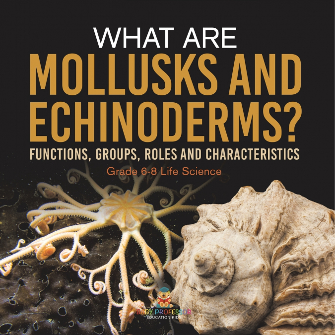 What are Mollusks and Echinoderms? Functions, Groups, Roles and Characteristics | Grade 6-8 Life Science