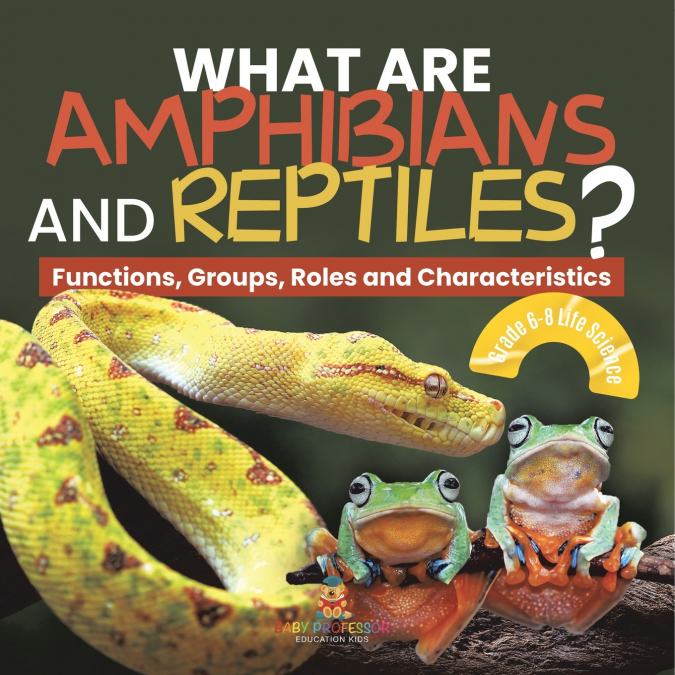 What are Amphibians and Reptiles? Functions, Groups, Roles and Characteristics | Grade 6-8 Life Science