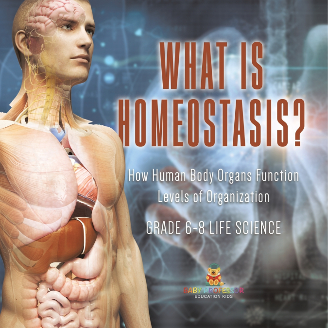 What is Homeostasis? How Human Body Organs Function | Levels of Organization | Grade 6-8 Life Science