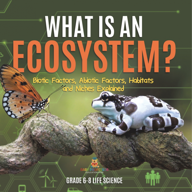 What is an Ecosystem? Biotic Factors, Abiotic Factors, Habitats and Niches Explained | Grade 6-8 Life Science