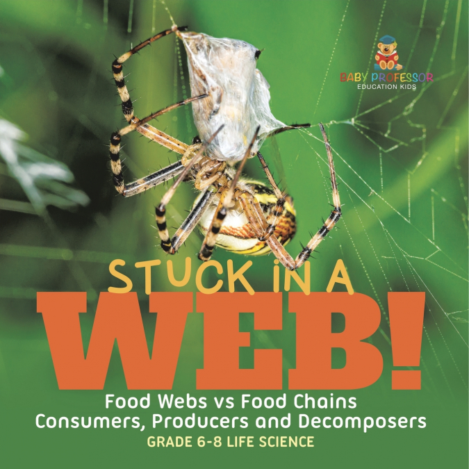 Stuck in a Web! Food Webs vs Food Chains | Consumers, Producers and Decomposers | Grade 6-8 Life Science