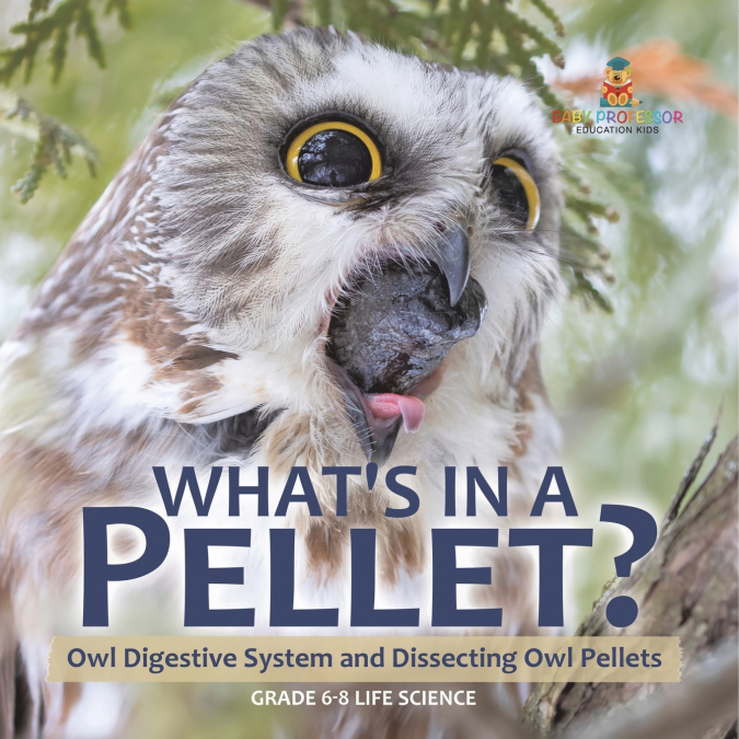 What’s in a Pellet? Owl Digestive System and Dissecting Owl Pellets | Grade 6-8 Life Science
