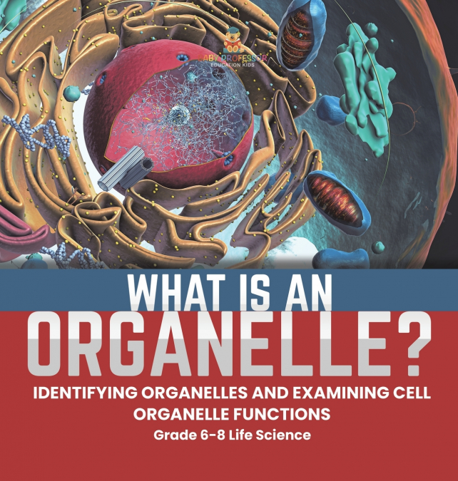 What is an Organelle? Identifying Organelles and Examining Cell Organelle Functions | Grade 6-8 Life Science