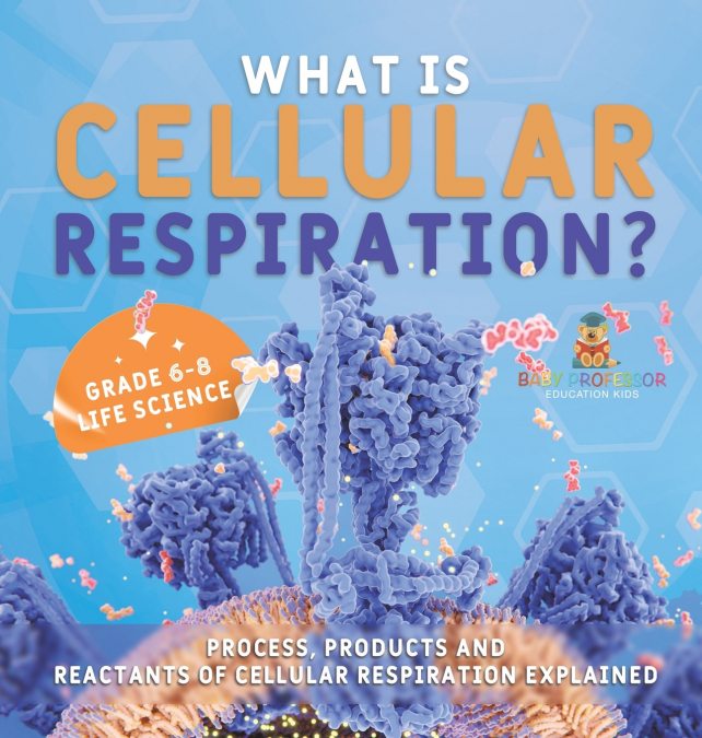 What is Cellular Respiration? Process, Products and Reactants of Cellular Respiration Explained | Grade 6-8 Life Science