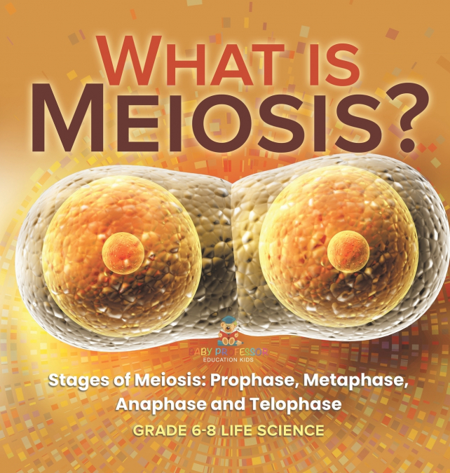 What is Meiosis? Stages of Meiosis, Prophase, Metaphase, Anaphase and Telophase | Grade 6-8 Life Science