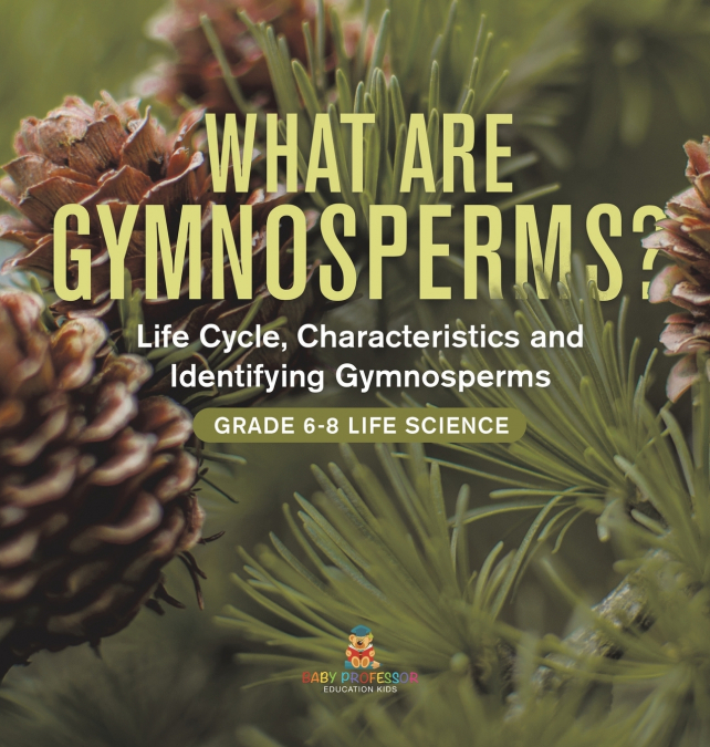 What are Gymnosperms? Life Cycle, Characteristics and Identifying Gymnosperms | Grade 6-8 Life Science