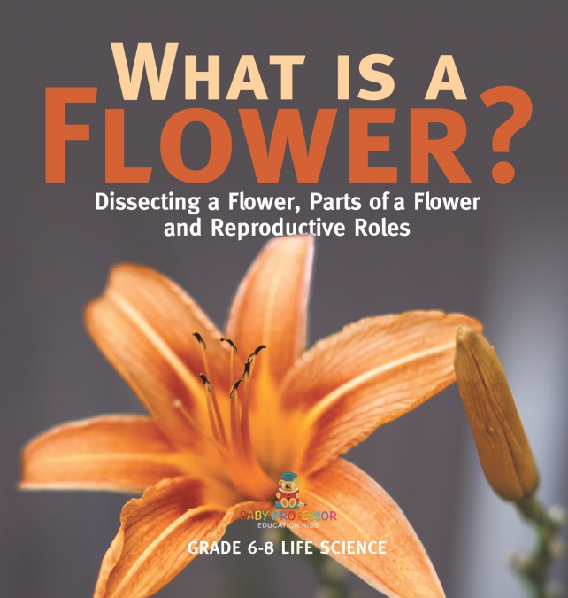 What is a Flower? Dissecting a Flower, Parts of a Flower and Reproductive Roles | Grade 6-8 Life Science