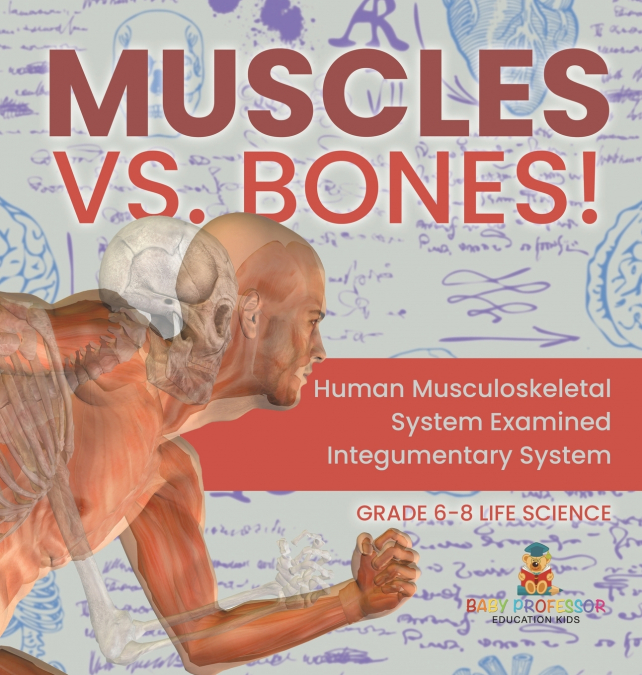 Muscles vs. Bones! Human Musculoskeletal System Examined | Integumentary System | Grade 6-8 Life Science