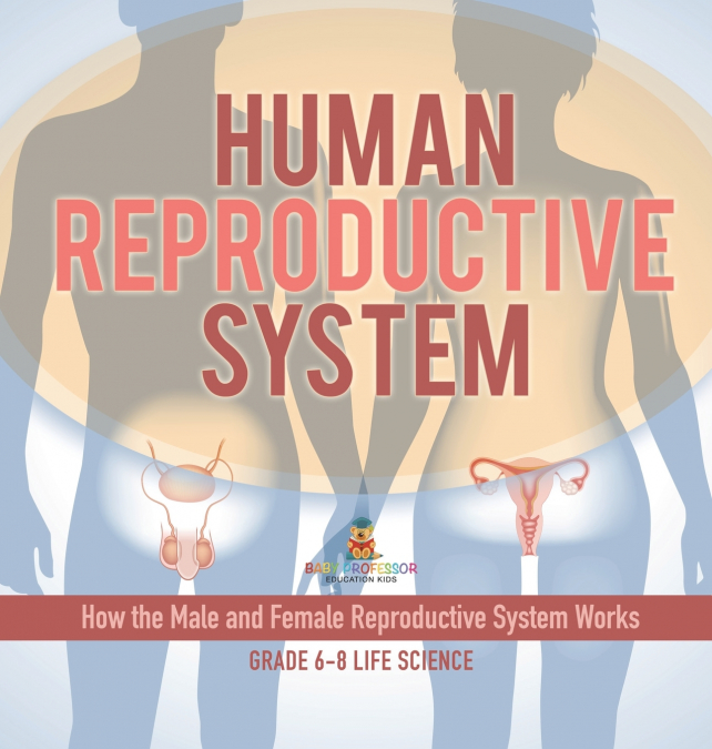 Human Reproductive System | How the Male and Female Reproductive System Works | Grade 6-8 Life Science