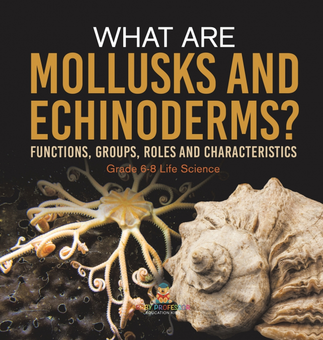 What are Mollusks and Echinoderms? Functions, Groups, Roles and Characteristics | Grade 6-8 Life Science