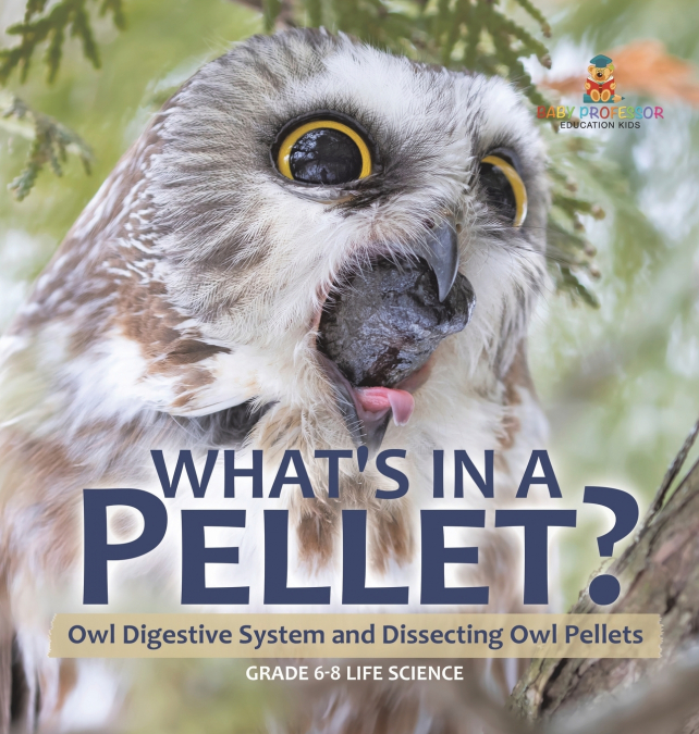 What’s in a Pellet? Owl Digestive System and Dissecting Owl Pellets | Grade 6-8 Life Science