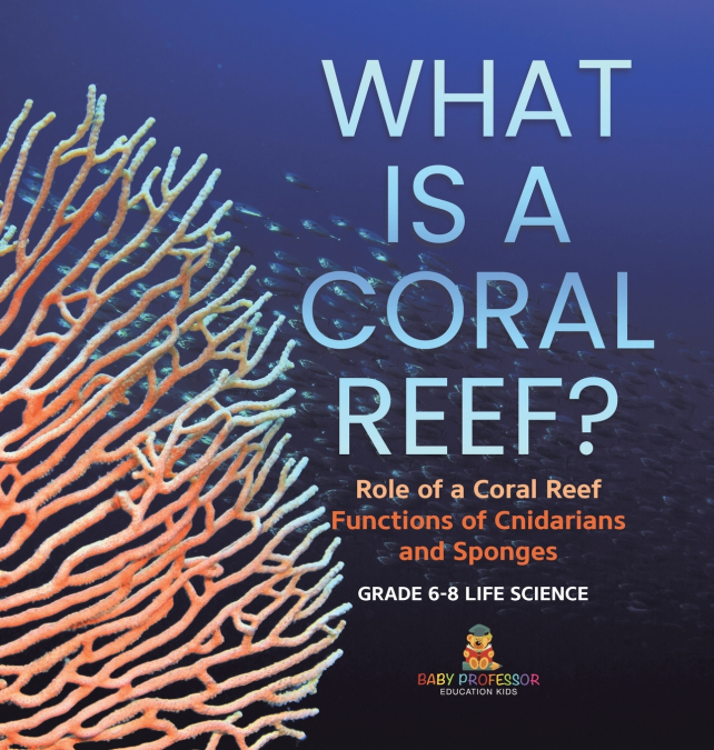 What is a Coral Reef? Role of a Coral Reef | Functions of Cnidarians and Sponges | Grade 6-8 Life Science