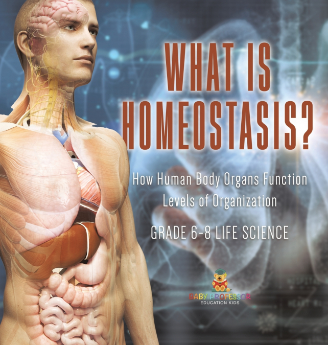 What is Homeostasis? How Human Body Organs Function | Levels of Organization | Grade 6-8 Life Science