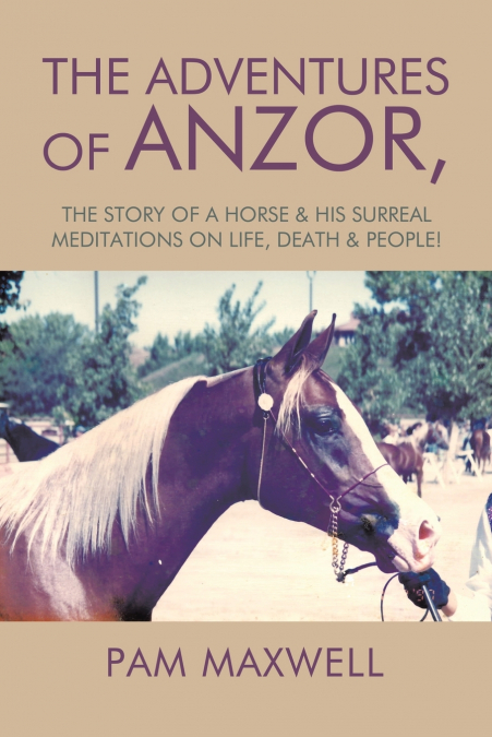 The Adventures of Anzor,