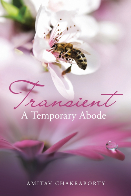 Transient - a Temporary Abode