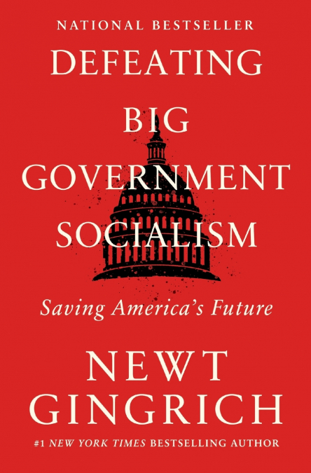 Defeating Big Government Socialism