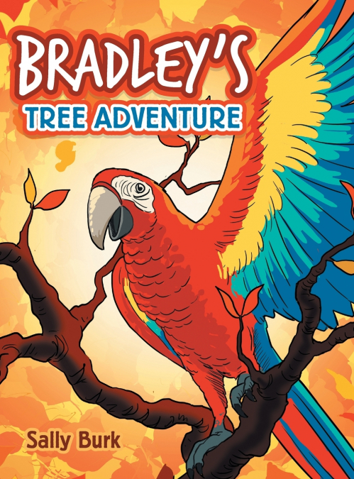 Bradley’S Tree Adventure
