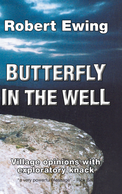 Butterfly in the Well