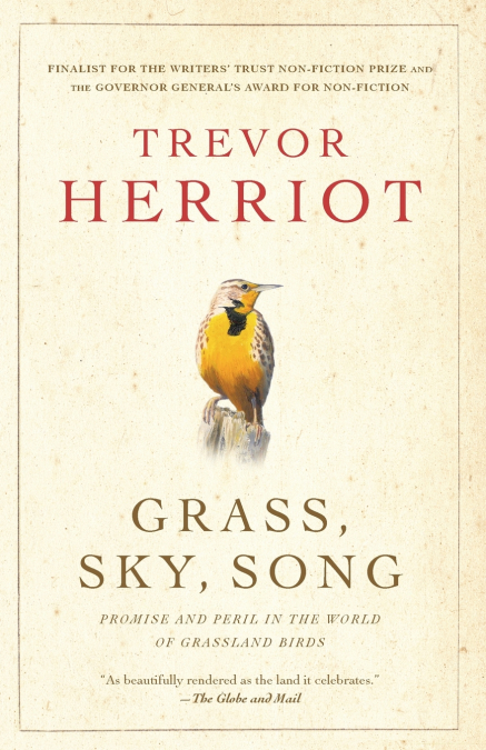 Grass, Sky, Song