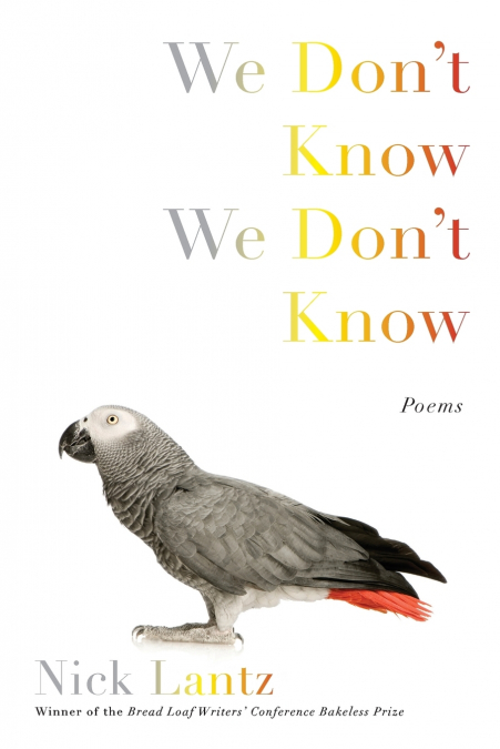 We Don’t Know We Don’t Know