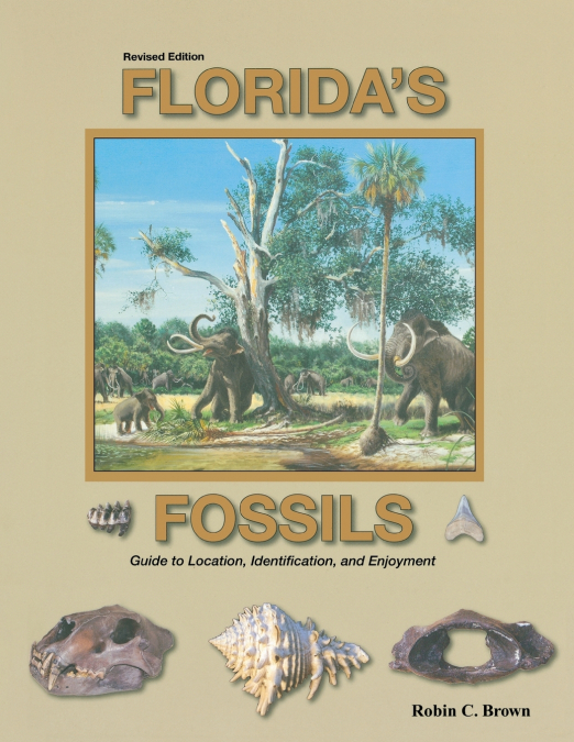 Florida’s Fossils