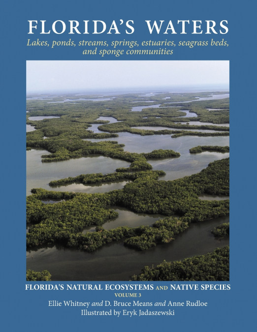 Florida’s Waters