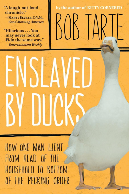 Enslaved by Ducks