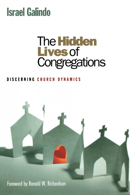 Hidden Lives of Congregations