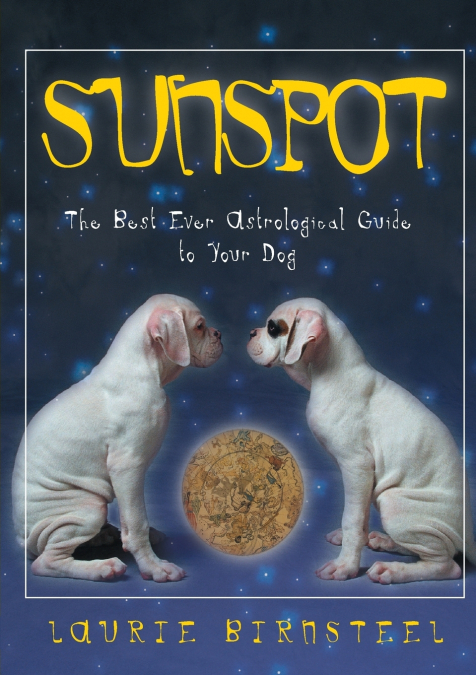 Sunspot