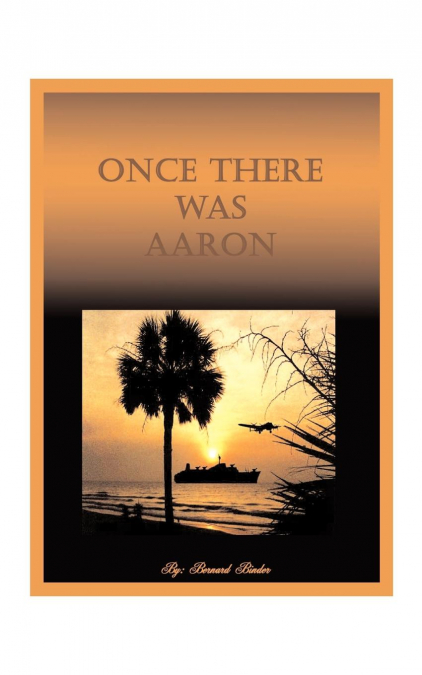 Once There Was Aaron