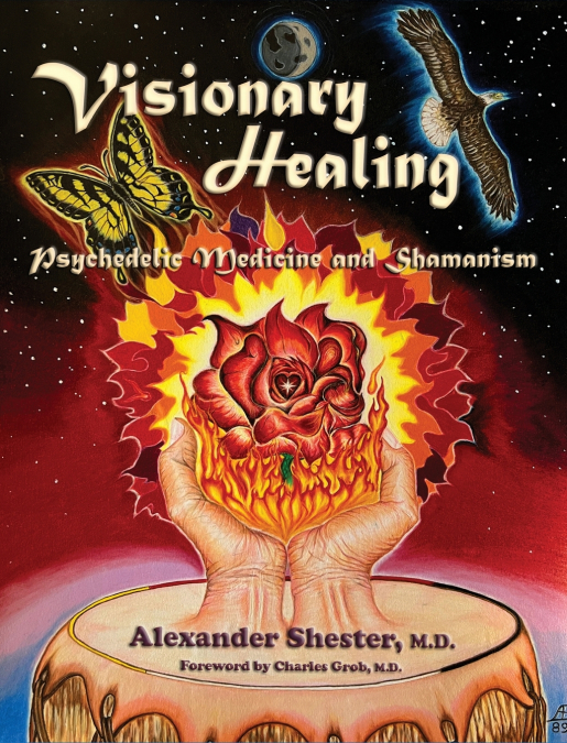 VISIONARY HEALING Psychedelic Medicine and Shamanism