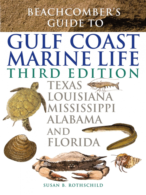 Beachcomber’s Guide to Gulf Coast Marine Life