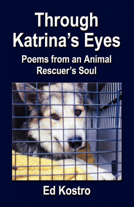 THROUGH KATRINA’S EYES