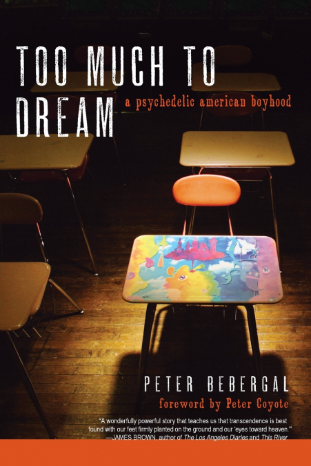 Too Much to Dream