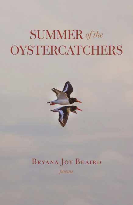 Summer of the Oystercatchers