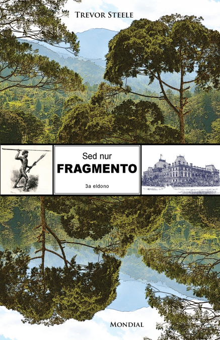 Sed nur fragmento (Originala romano en Esperanto)
