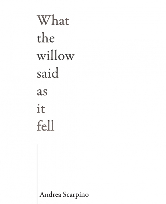 What the Willow Said as It Fell