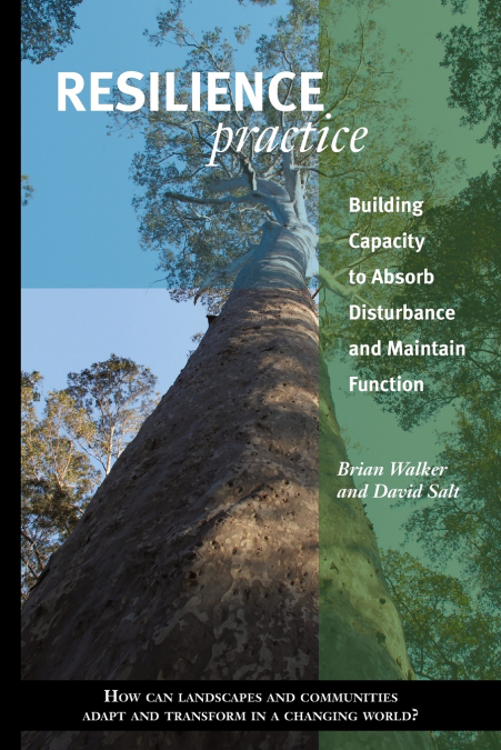 Resilience Practice