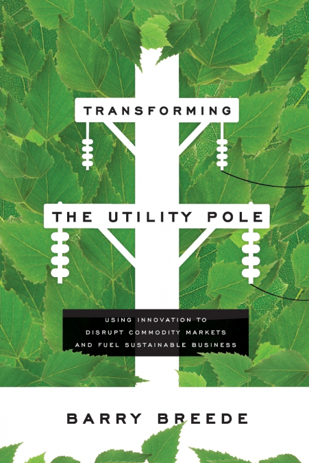 Transforming The Utility Pole