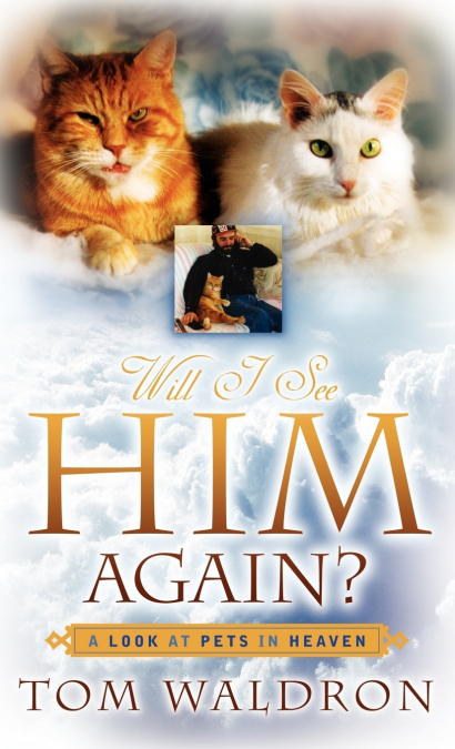 Will I See Him Again? A Look At Pets In Heaven