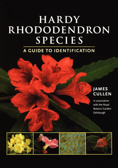 Hardy Rhododendron Species