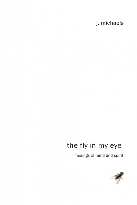 The Fly in My Eye
