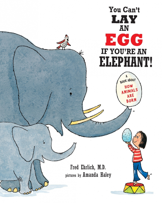 You Can’t Lay An Egg If You’re An Elephant